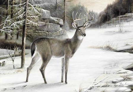 Snowy Mornings by Ruane Manning art print