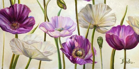 Poppies in Spring I by Patricia Pinto art print