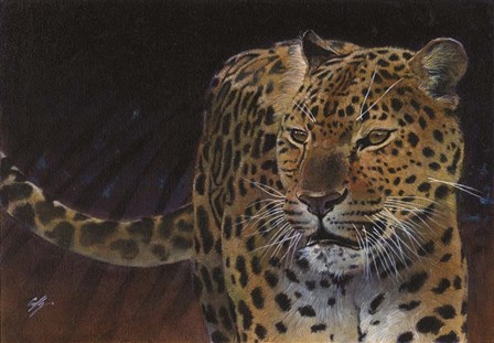 Leopard by Durwood Coffey art print