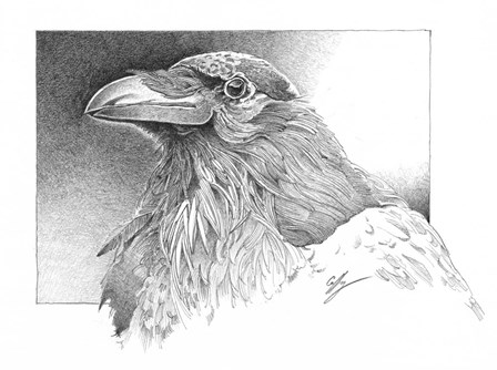 Ravens Head by Durwood Coffey art print
