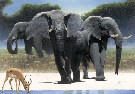 The Approach by Durwood Coffey art print