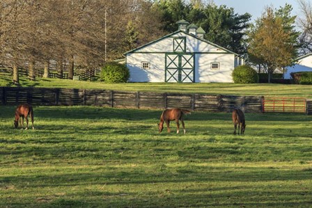 Horse Farm Landscape by Galloimages Online art print