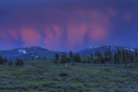 YNP Sunset by Galloimages Online art print