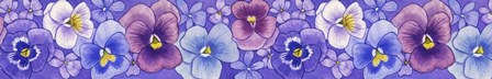 Pansies border by Geraldine Aikman art print