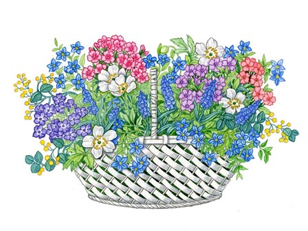 Phlox Basket by Geraldine Aikman art print