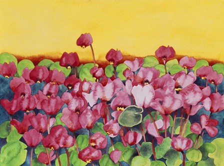 Pink Cyclamen by Mary Russel art print