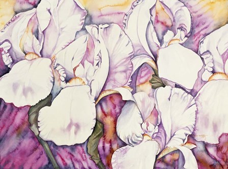 5 Iris by Mary Russel art print