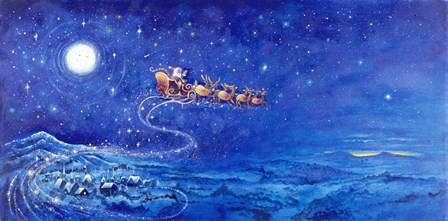 Fly Over by Bill Bell art print