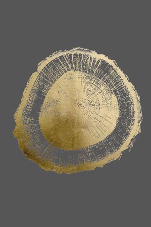 Gold Foil Tree Ring II on Dark Grey by Vision Studio art print