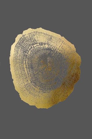 Gold Foil Tree Ring IV on Dark Grey by Vision Studio art print