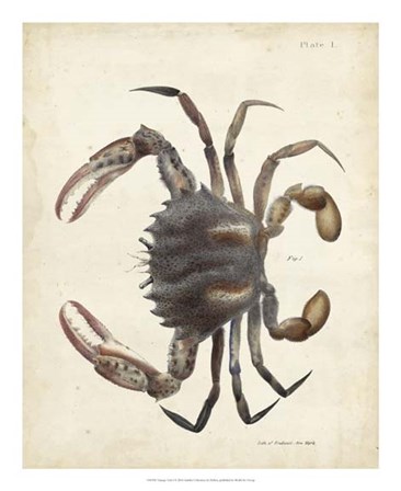 Vintage Crab I by DeKay art print
