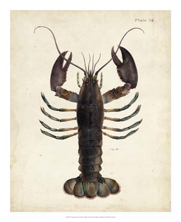 Vintage Lobster by DeKay art print