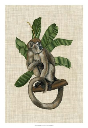 Canopy Monkey I by Naomi McCavitt art print