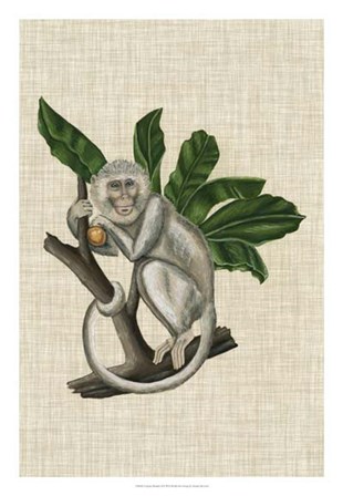 Canopy Monkey II by Naomi McCavitt art print