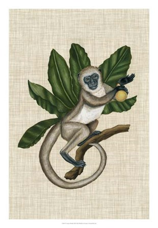 Canopy Monkey III by Naomi McCavitt art print