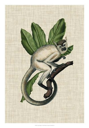 Canopy Monkey IV by Naomi McCavitt art print
