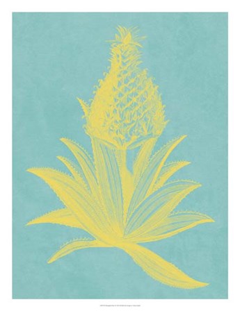 Pineapple Frais I by Vision Studio art print