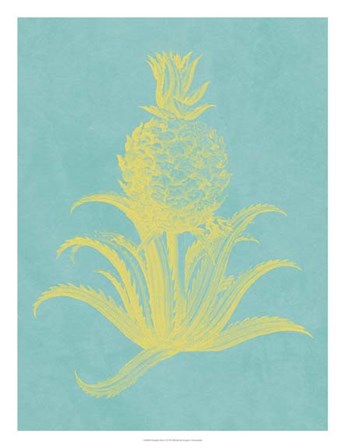 Pineapple Frais II by Vision Studio art print