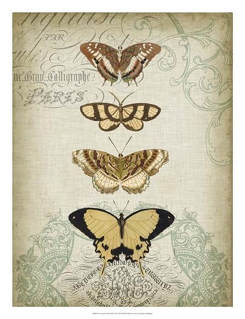 Cartouche &amp; Butterflies II by Jennifer Goldberger art print