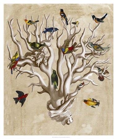The Ornithologist&#39;s Dream I by Naomi McCavitt art print