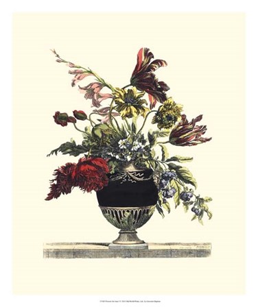 Flowers for June I by Giovanni Baptiste art print