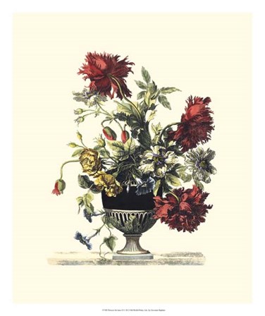 Flowers for June II by Giovanni Baptiste art print