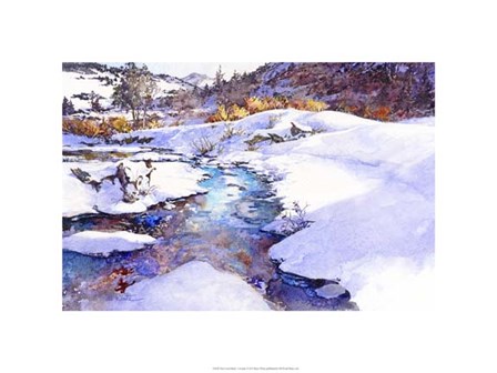 Deer Creek Bend - Colorado by Bruce White art print
