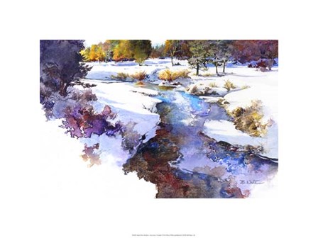Snake River Meadow - Keystone, Co. by Bruce White art print