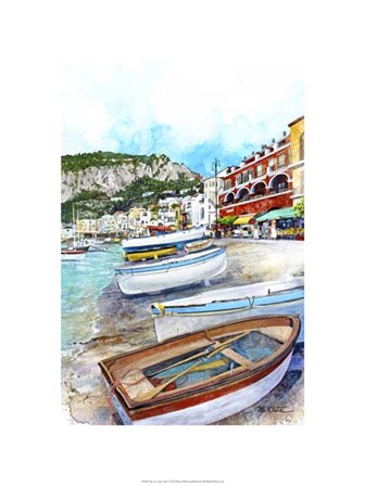 Isle of Capri, Italy by Bruce White art print