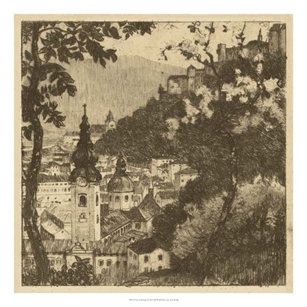 View of Salzburg I by Graf-Fbg art print