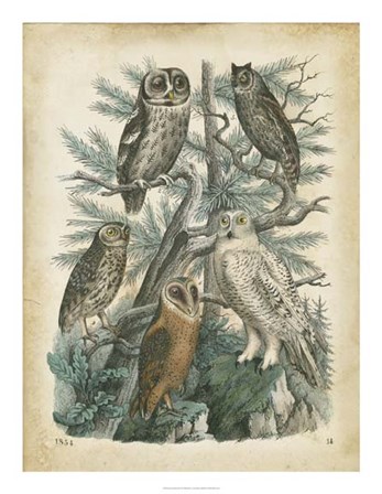 Nature&#39;s Gathering III by John Wiek art print