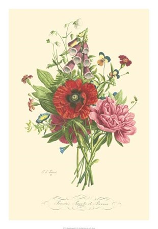 Plentiful Bouquet II by T.L. Prevost art print