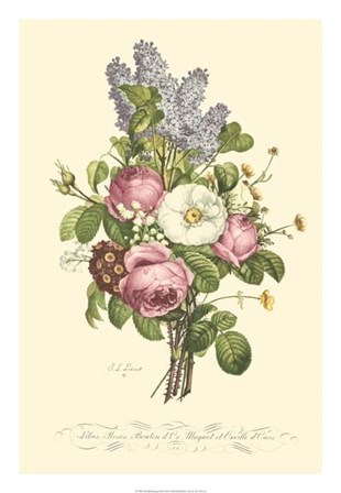 Plentiful Bouquet III by T.L. Prevost art print