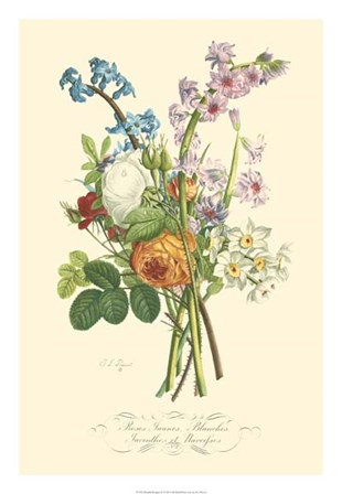 Plentiful Bouquet IV by T.L. Prevost art print