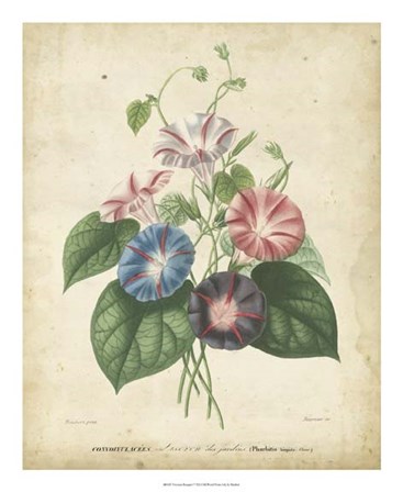 Victorian Bouquet I by Maubert art print