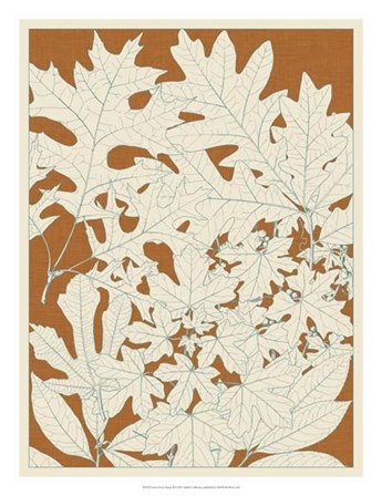 Leaves from Nature II by Vision Studio art print