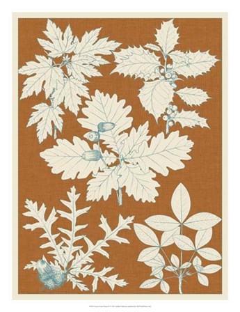 Leaves from Nature IV by Vision Studio art print