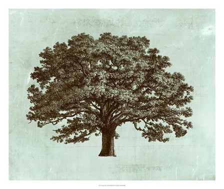 Spa Tree I by Vision Studio art print