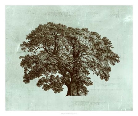 Spa Tree II by Vision Studio art print