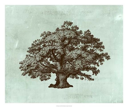 Spa Tree III by Vision Studio art print