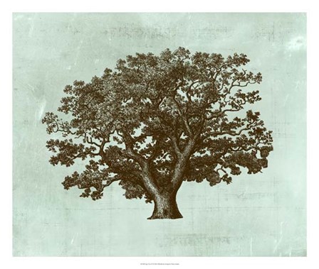 Spa Tree IV by Vision Studio art print