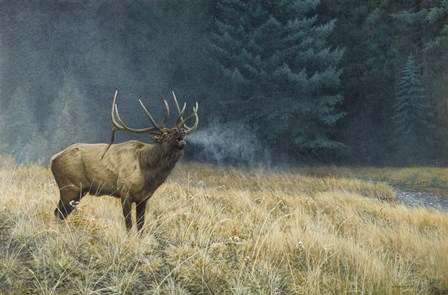 Autumn Monarch by Michael Budden art print