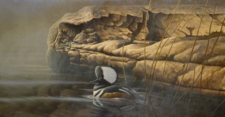 Misty Passage by Michael Budden art print