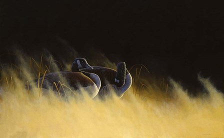 Morning Solitude by Michael Budden art print