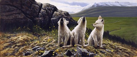 Three Wolves by Michael Budden art print