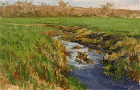 Spring Fields by Michael Budden art print