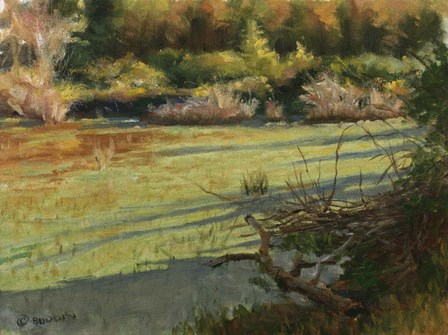 Pond Shadows by Michael Budden art print