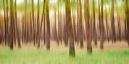 Blurred Trees 5 - Verde by Moises Levy art print