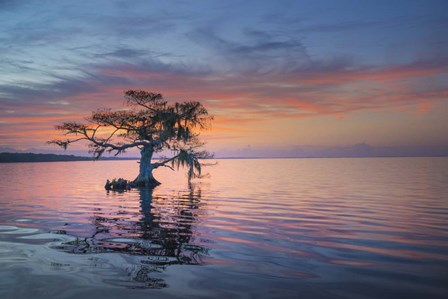 Alone at Sunrise by Moises Levy art print