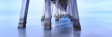 Naples Pier Morning by Moises Levy art print
